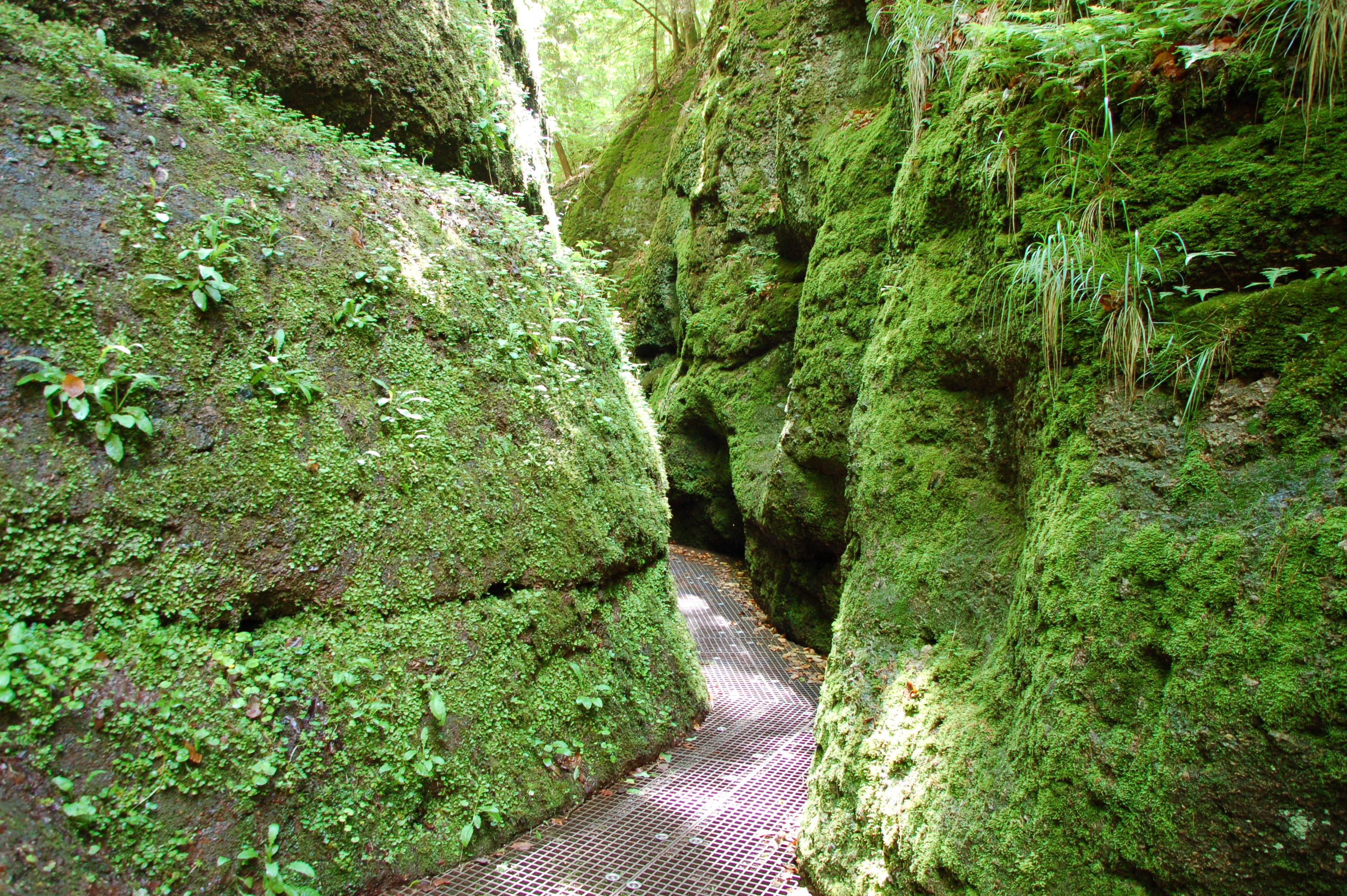 Die Drachenschlucht bei Eisenach Die Drachenschlucht bei Eisenach im Wartburgkreis / Thüringen